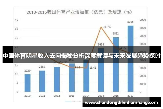 中国体育明星收入去向揭秘分析深度解读与未来发展趋势探讨