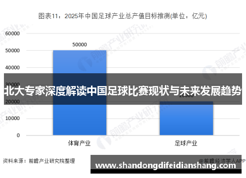 北大专家深度解读中国足球比赛现状与未来发展趋势